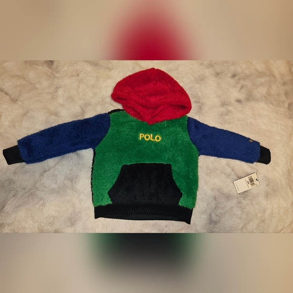 Polo Ralph Lauren Toddler Boys Logo Teddy Fleece Hoodie 3T NWT - Picture 3 of 9